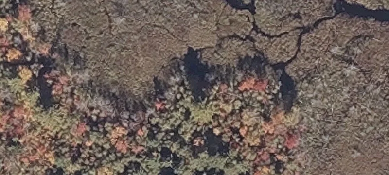 Wooded Waterfront-Adjacent Land Lot