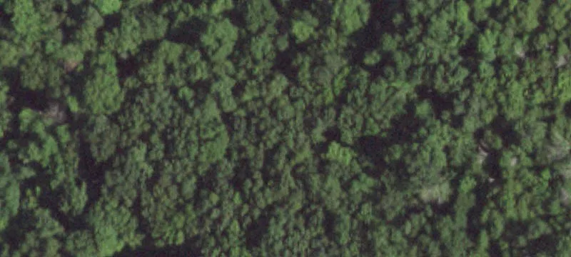 Wooded Residential Land Parcel