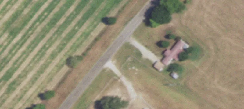 Agricultural Pasture Tract with Springs