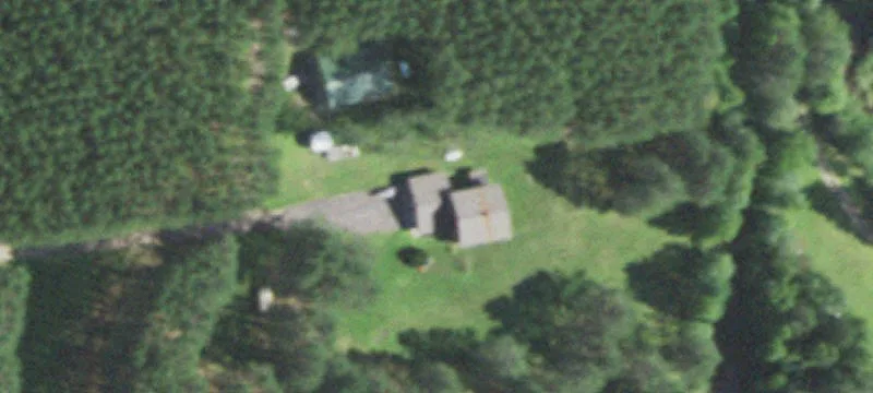 Wooded Hunting and Camping Land
