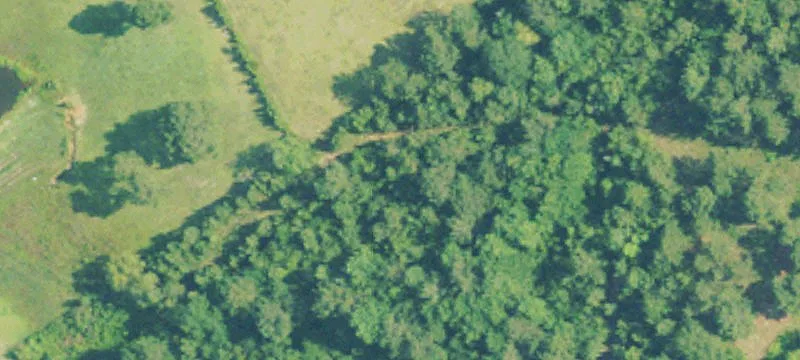 Fenced Cattle Ranch Land