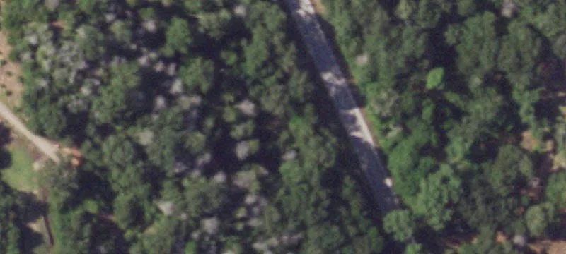 Buildable Residential Lot with Trees