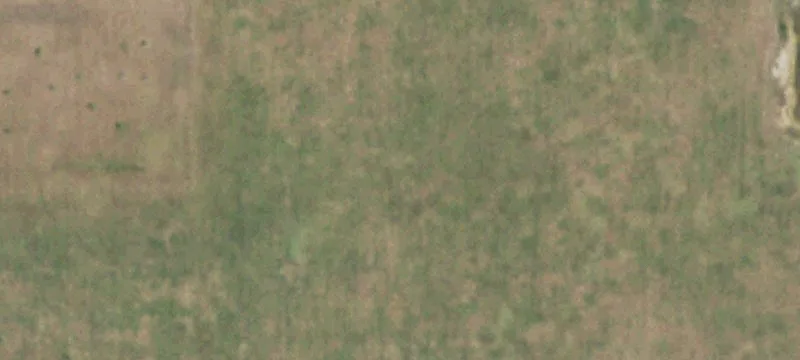Wooded Residential Acreage with Creek