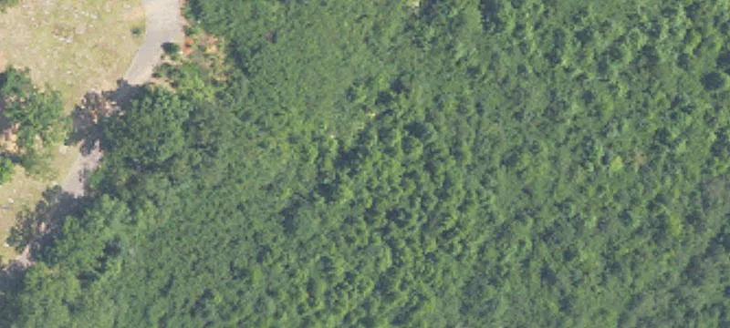 Established Cemetery Property