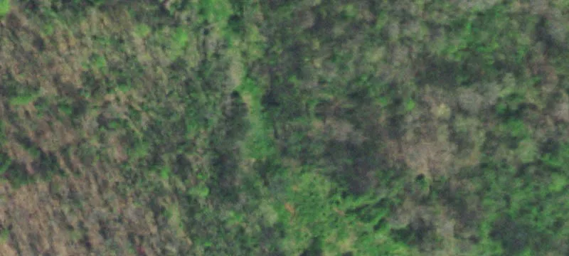 20-Acre Residential Development Land