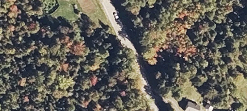 Undeveloped Forest Land Parcel