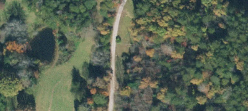 Secluded Timberland Homesites