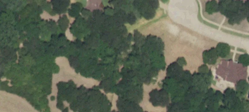 Residential Development Lot With Trees