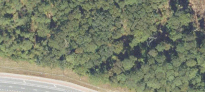 Flat Land with Timber Value