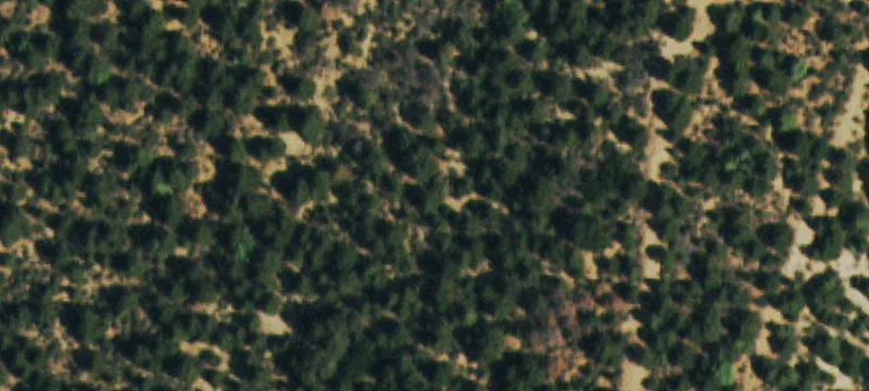 Level Hunting Land Parcel