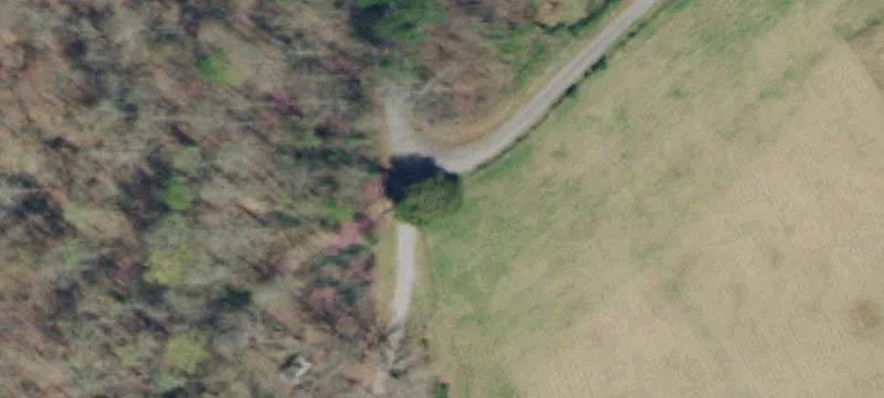 Acreage with Pasture and Timber
