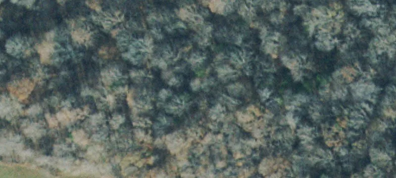 Platted Agricultural Home Site
