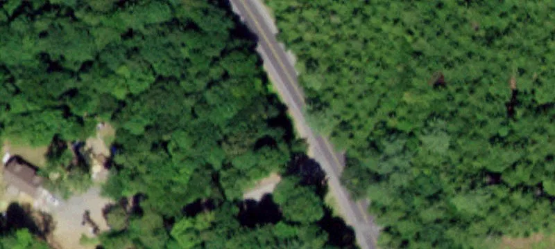 Partially Cleared Waterfront-Adjacent Lot