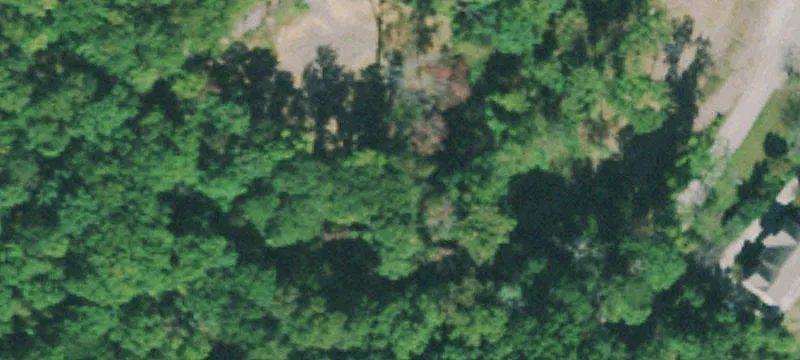 Wooded Development Land Lots