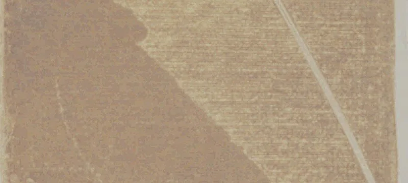 Agricultural Land in Irrigation District