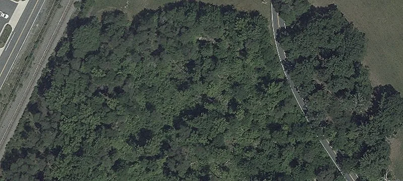 Wooded Residential Land Lot