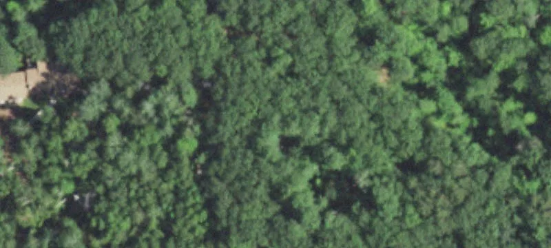 Wooded Waterfront Land Lots