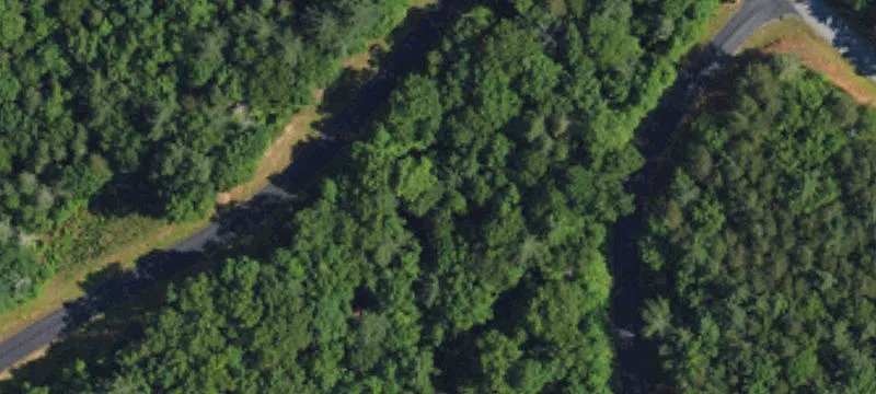 Wooded Waterfront Community Lot