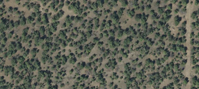 Highway-Facing Commercial Site