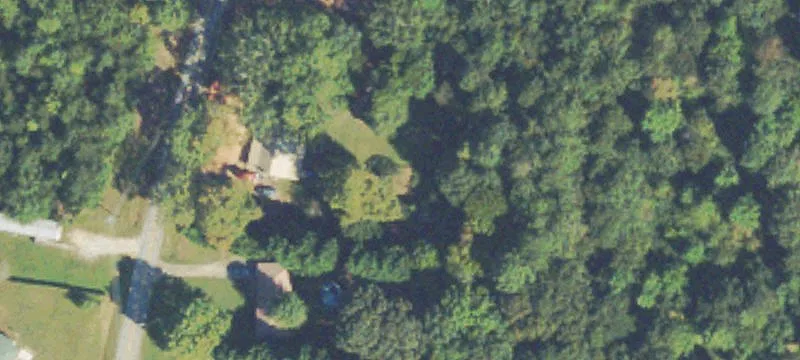 Large Tract Land with Cabin