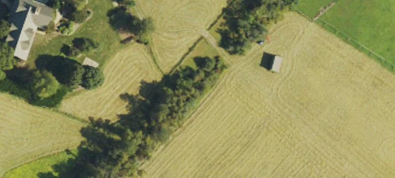 Country Estate with Creek Frontage