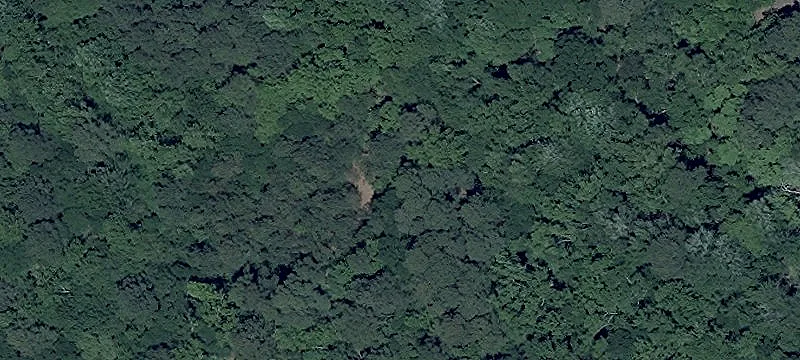 Recreational Hunting Land Parcel