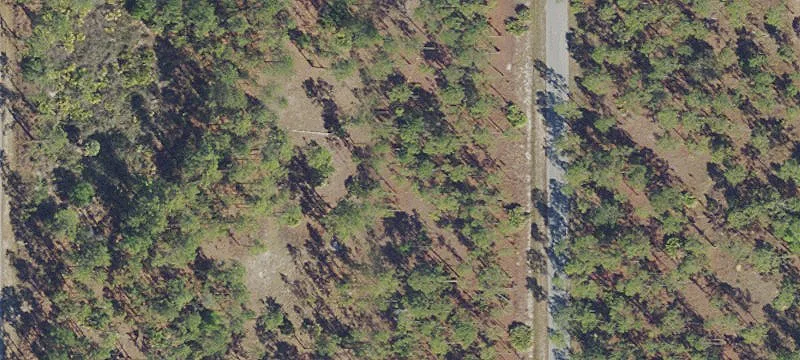 Residential Home Lot