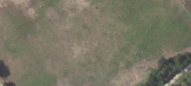 Recreational Hunting Land Tract