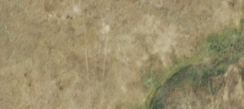Hunting and Farmland Parcel
