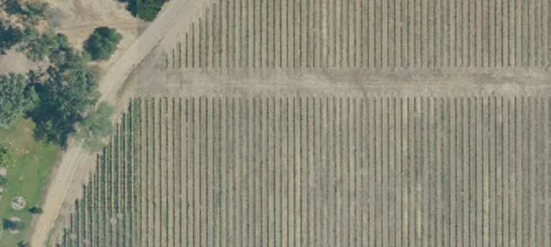 Vineyard Land For Sale