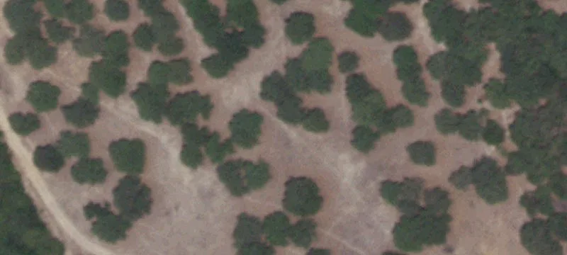 Resort Homesite in Rough Creek