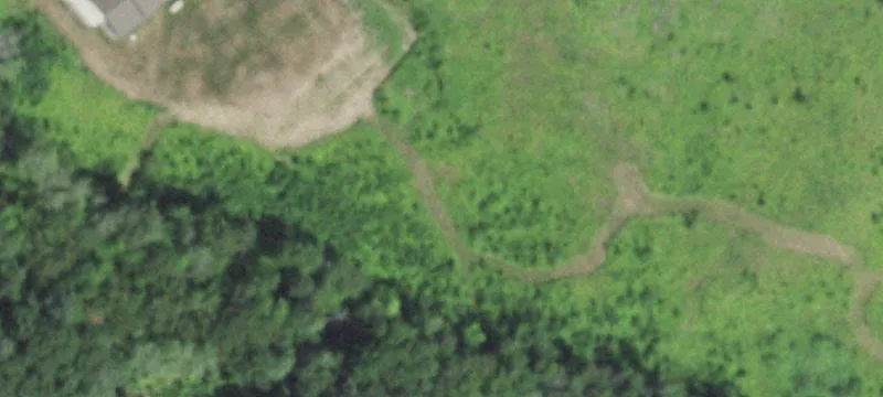 Wooded Lakefront Land