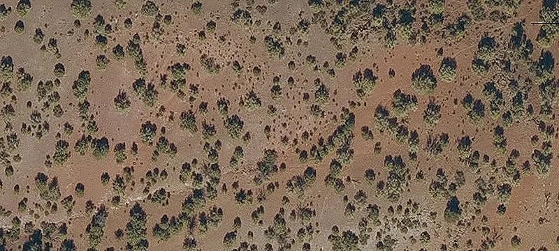 Rural Off-Grid Acreage with Building Pad