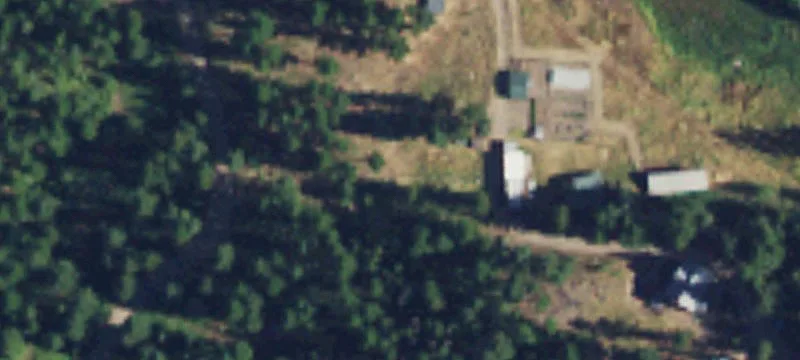 Treed Residential Land Parcel