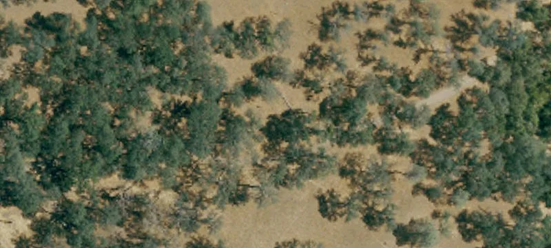 Agricultural Land with Natural Spring