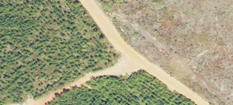Timber and Hunting Acreage