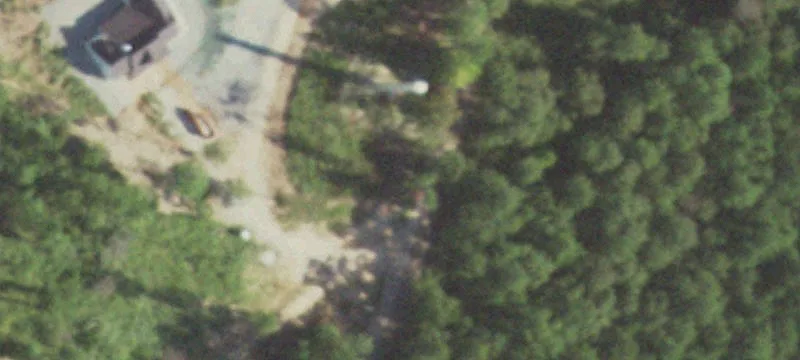 Managed Pine Timber Tract