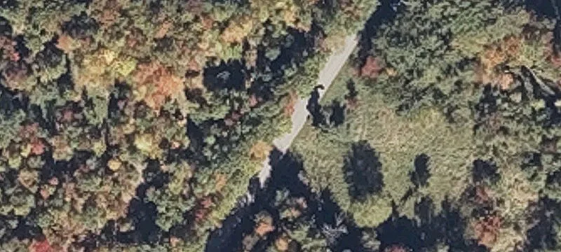 Wooded Recreational Land Parcel