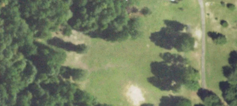 Ranch Home with Equestrian Acreage