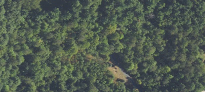 Private Wooded Residential Acreage