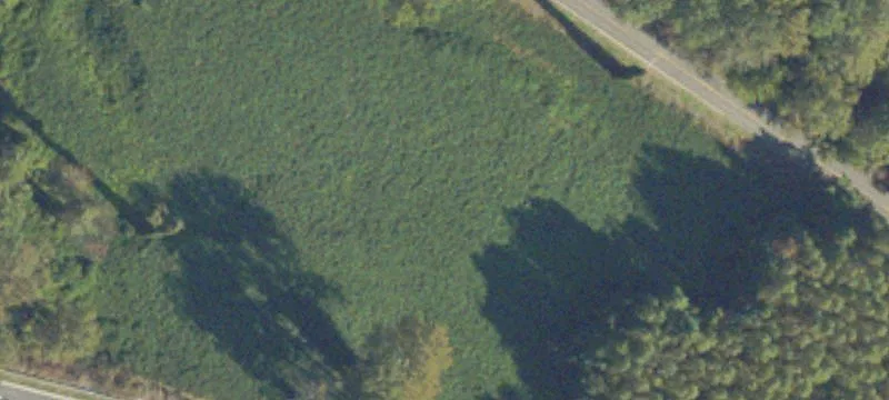 Commercial Land Parcel