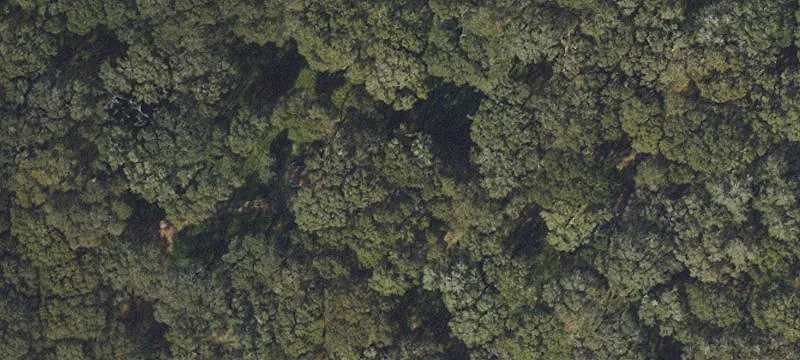 High-and-Dry Turnkey Fernery Property