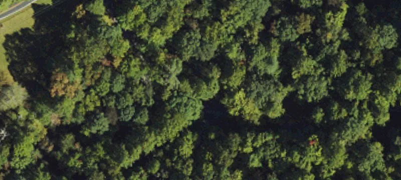 Residential Land with Hardwood Stand