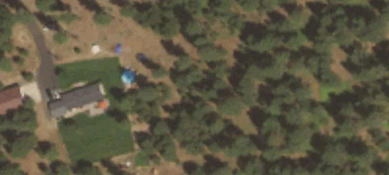 Treed Residential Lot