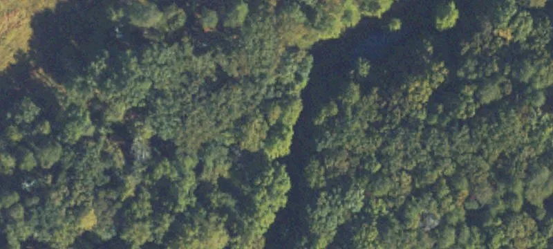 Wooded Recreational Land Tract