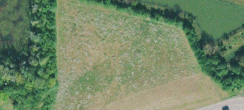 Commercial Land Development Site
