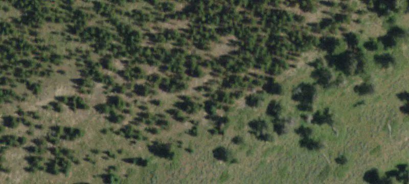 Residential Cul-de-Sac Lot
