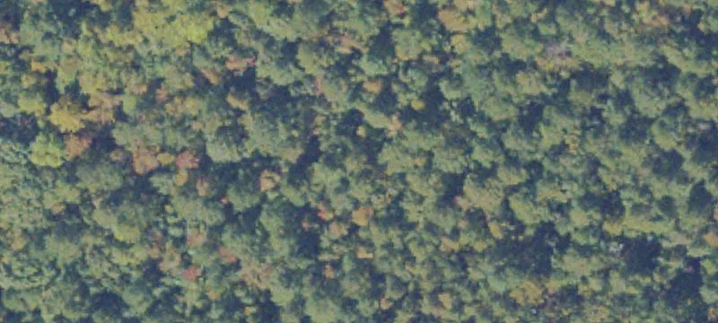 81-Acre Specialty Land Parcel