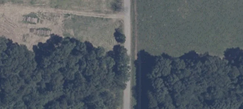 Hunting and Timber Land