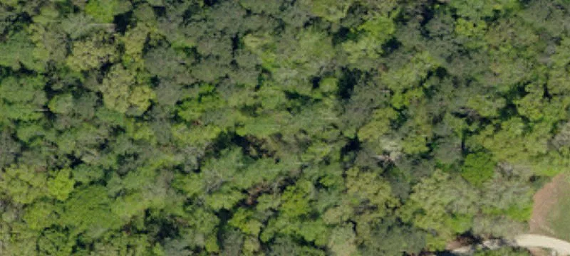 Wooded Development Land Tract